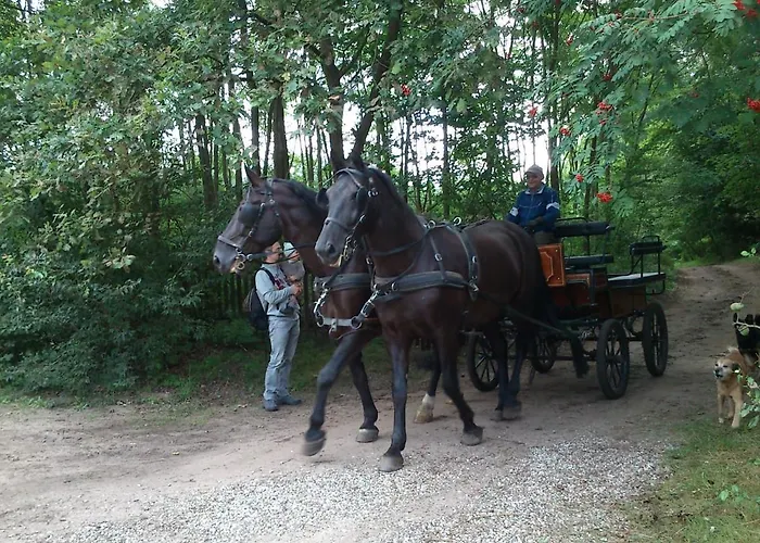 Olchowy Mlyn