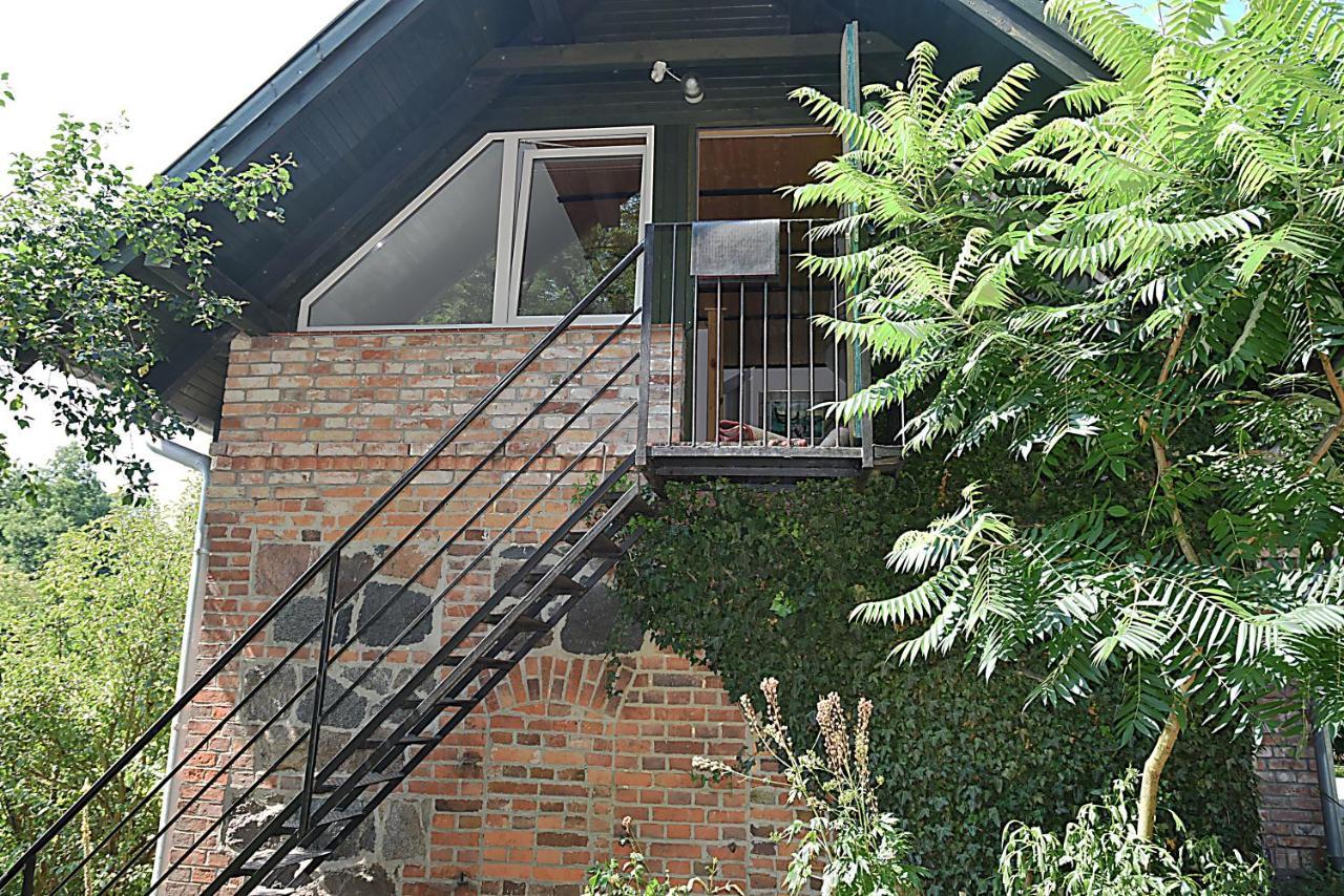 Apartment Olchowy Mlyn *